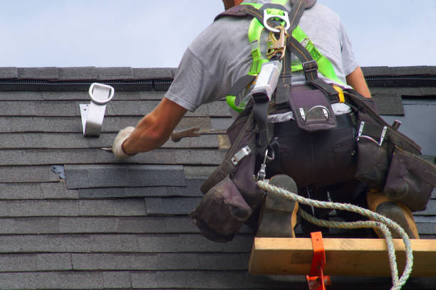 Best Roof Gutter Cleaning  in Lagrange, GA